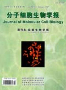 分子細(xì)胞生物學(xué)報(bào)雜志