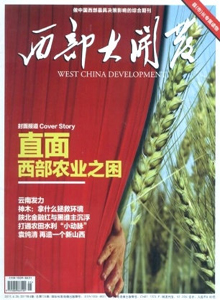 西部大開(kāi)發(fā)雜志