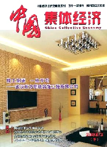 中國(guó)集體經(jīng)濟(jì)·下半月雜志