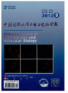 中國生物化學(xué)與分子生物學(xué)報(bào)