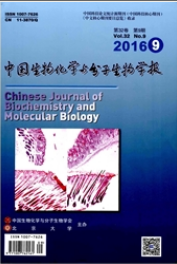 寫神經膠質瘤方面論文發表期刊