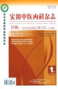 《實用中醫內科雜志》